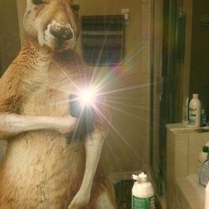 Meet your Posher, Joseph